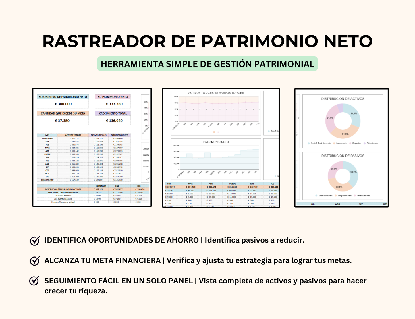 patrimonio neto, gestión de patrimonio, control de finanzas personales, estado financiero personal, balance financiero personal, calculadora de patrimonio neto, plantilla financiera excel, plantilla financiera personal, plantilla de finanzas en excel, gestor de finanzas personales