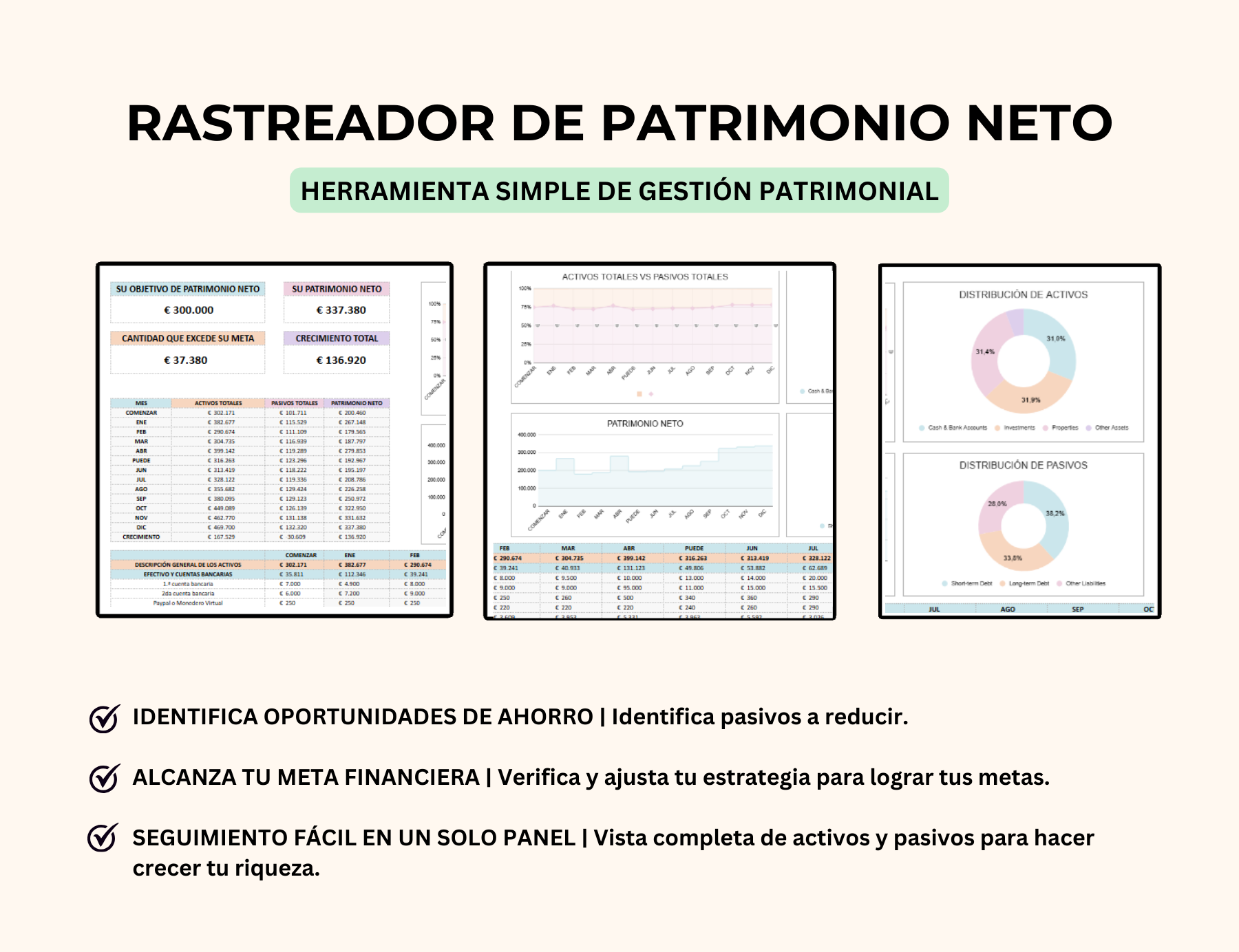patrimonio neto, gestión de patrimonio, control de finanzas personales, estado financiero personal, balance financiero personal, calculadora de patrimonio neto, plantilla financiera excel, plantilla financiera personal, plantilla de finanzas en excel, gestor de finanzas personales
